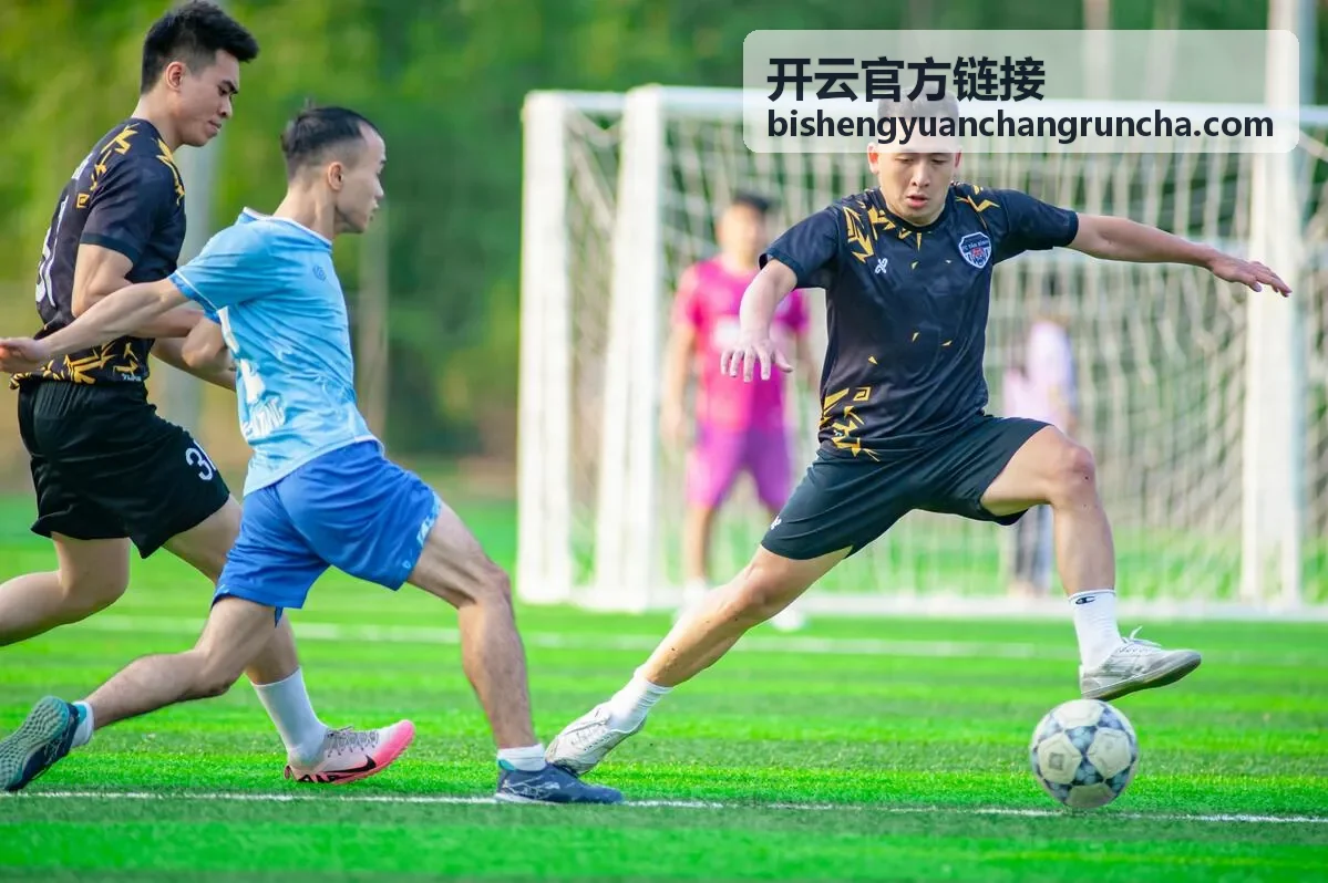 开云官方链接地址分段识别示意